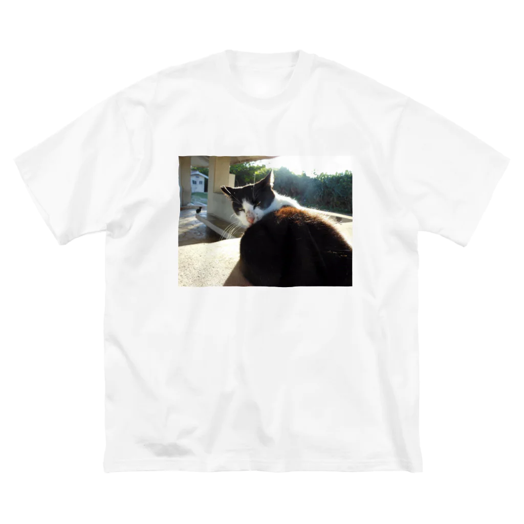 きしの見返り美猫図 Big T-Shirt