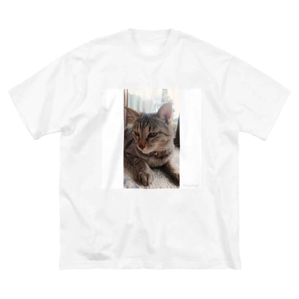 愛猫ミミさん キジトラ猫ミミ 879era3590 のビッグシルエットtシャツ通販 Suzuri スズリ