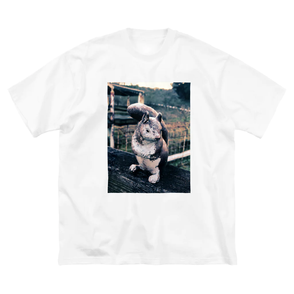 her_lycorisのリス_公園 Big T-Shirt