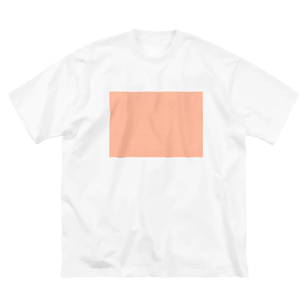 ならおかの放出品のA colorpaper ビッグシルエットTシャツ