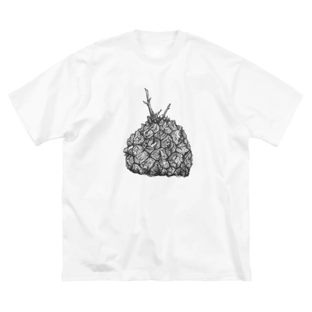 Ari のDioscorea elephantipes！ ビッグシルエットTシャツ