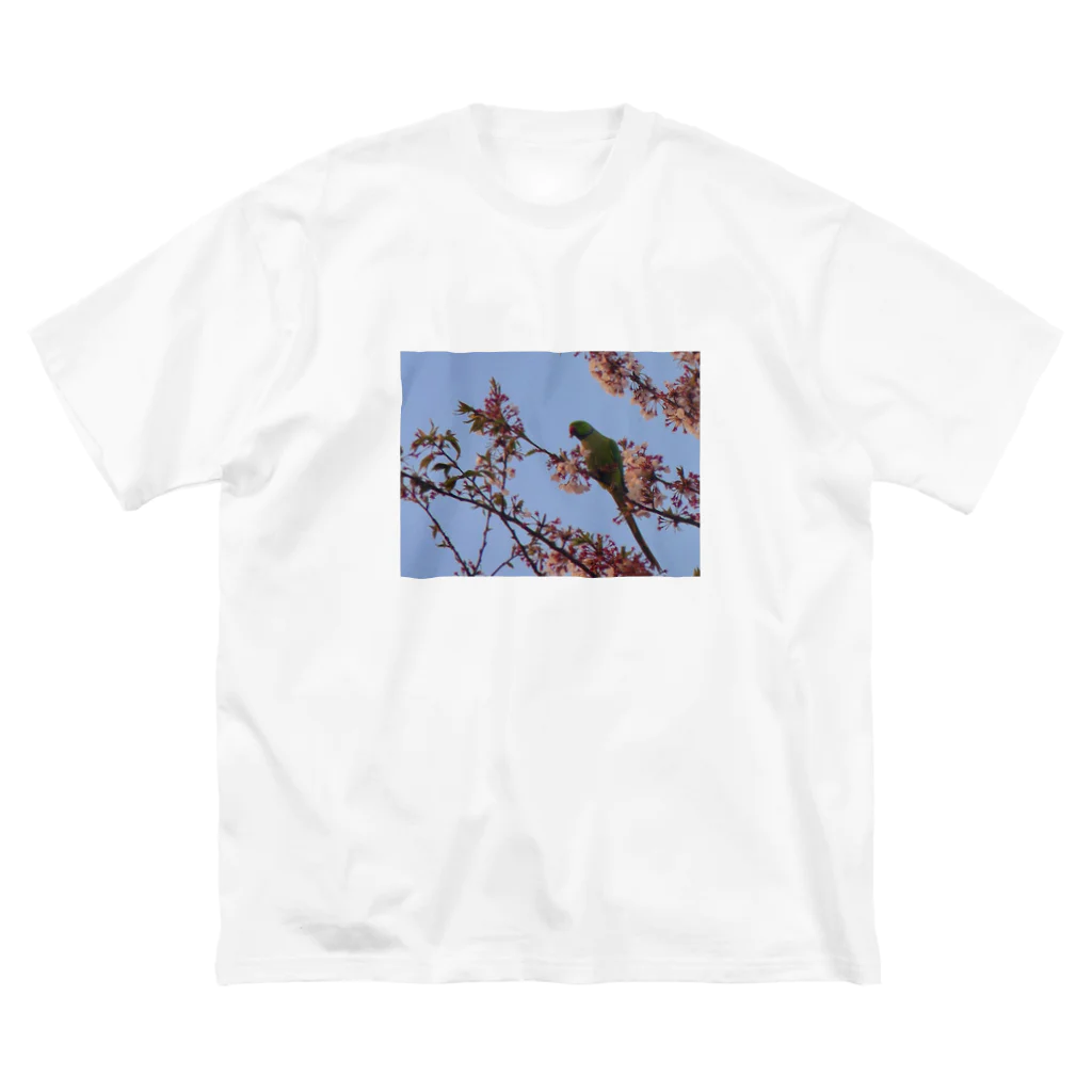 きしの春、桜とワカケホンセイ ビッグシルエットTシャツ