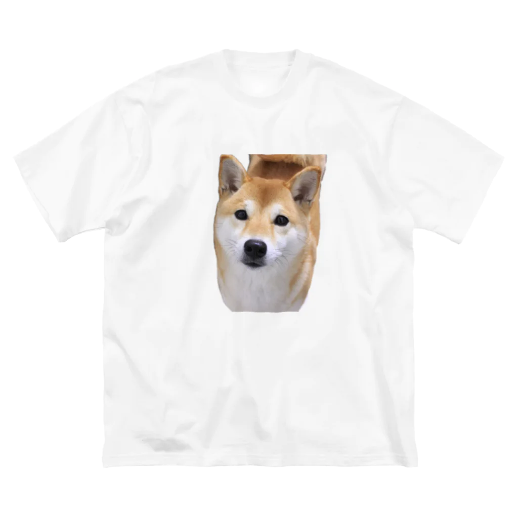 kawaii柴犬のkawaii柴犬 ビッグシルエットTシャツ