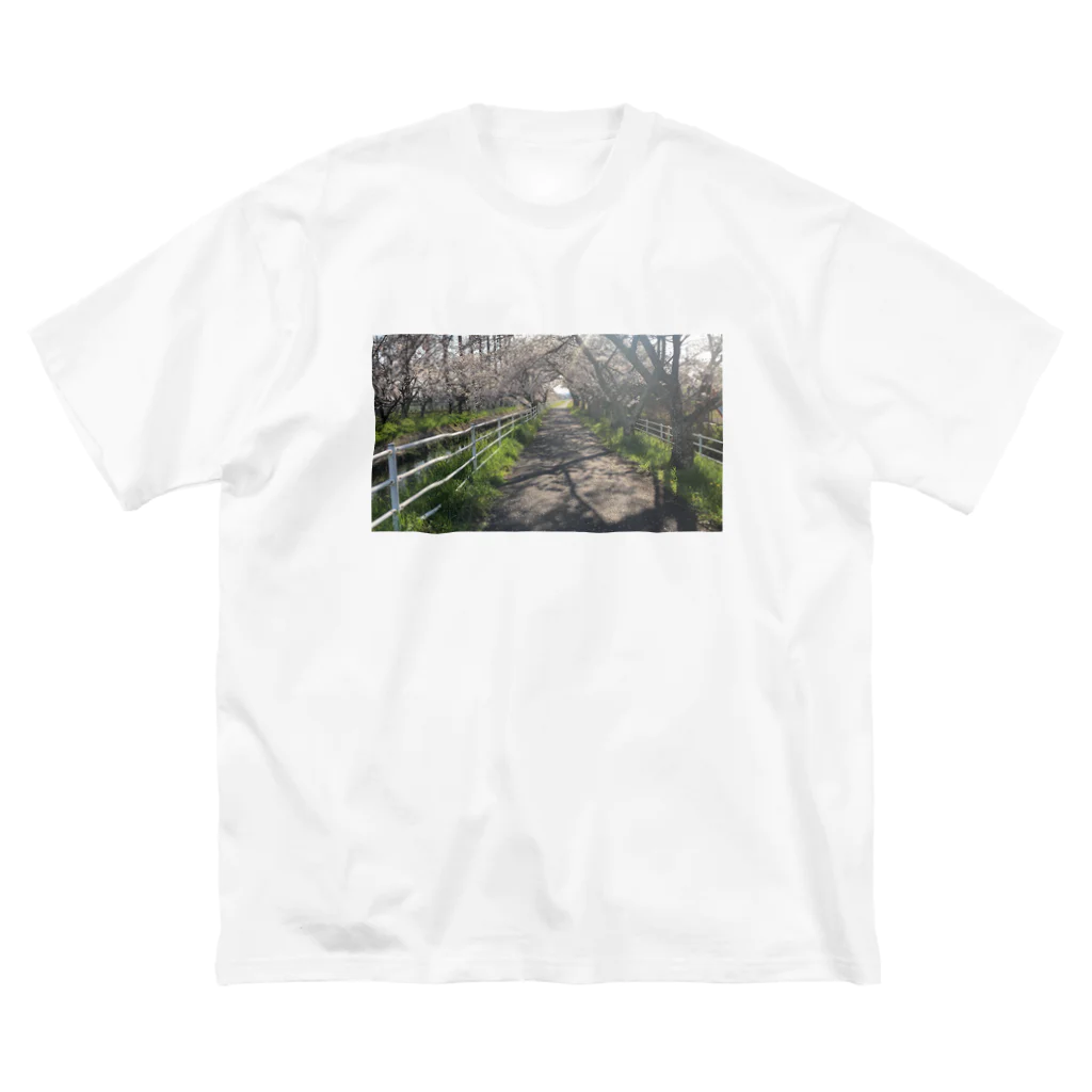 コビトカバのサクラトンネル Big T-Shirt