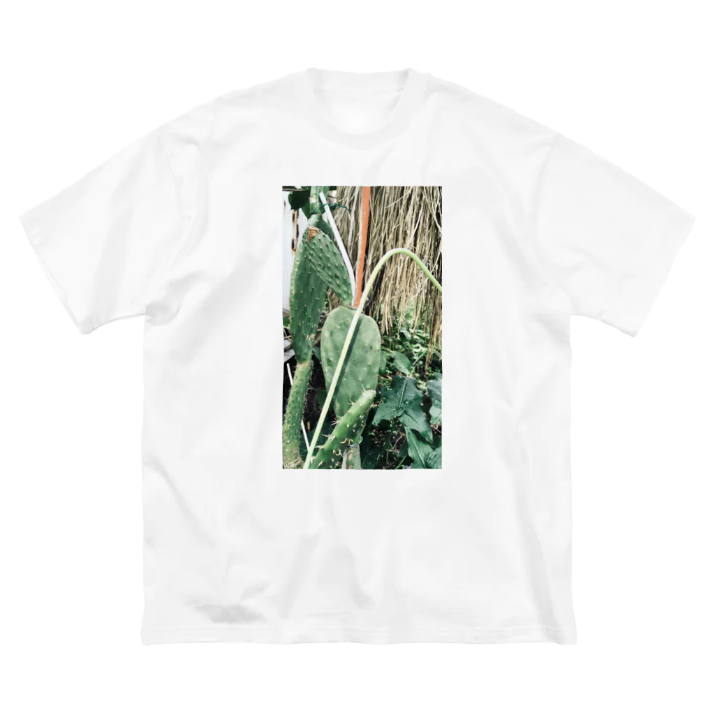イエネコの植物　サボテンの風景 Big T-Shirt
