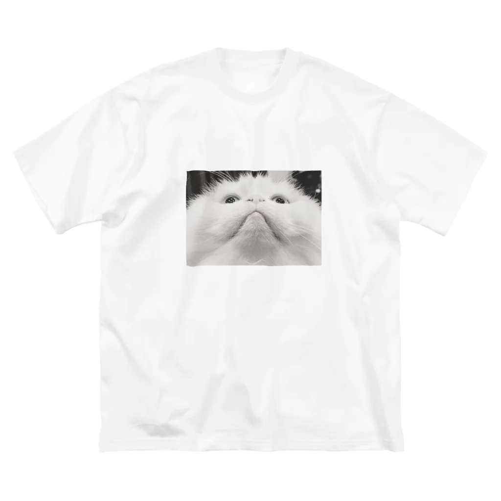 ぬくぬくおうどんショップの朝日 Big T-Shirt