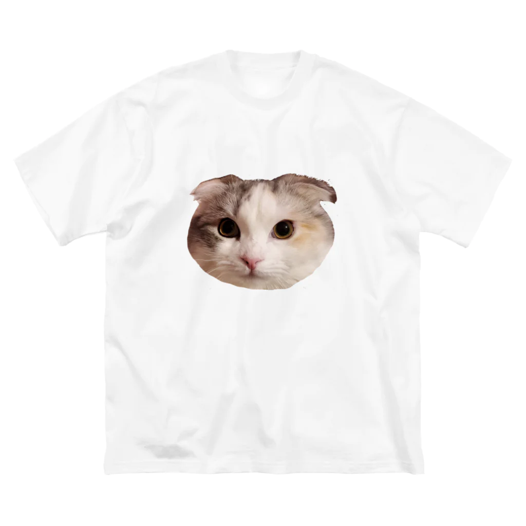 める＆ほくとの猫＊める Big T-Shirt