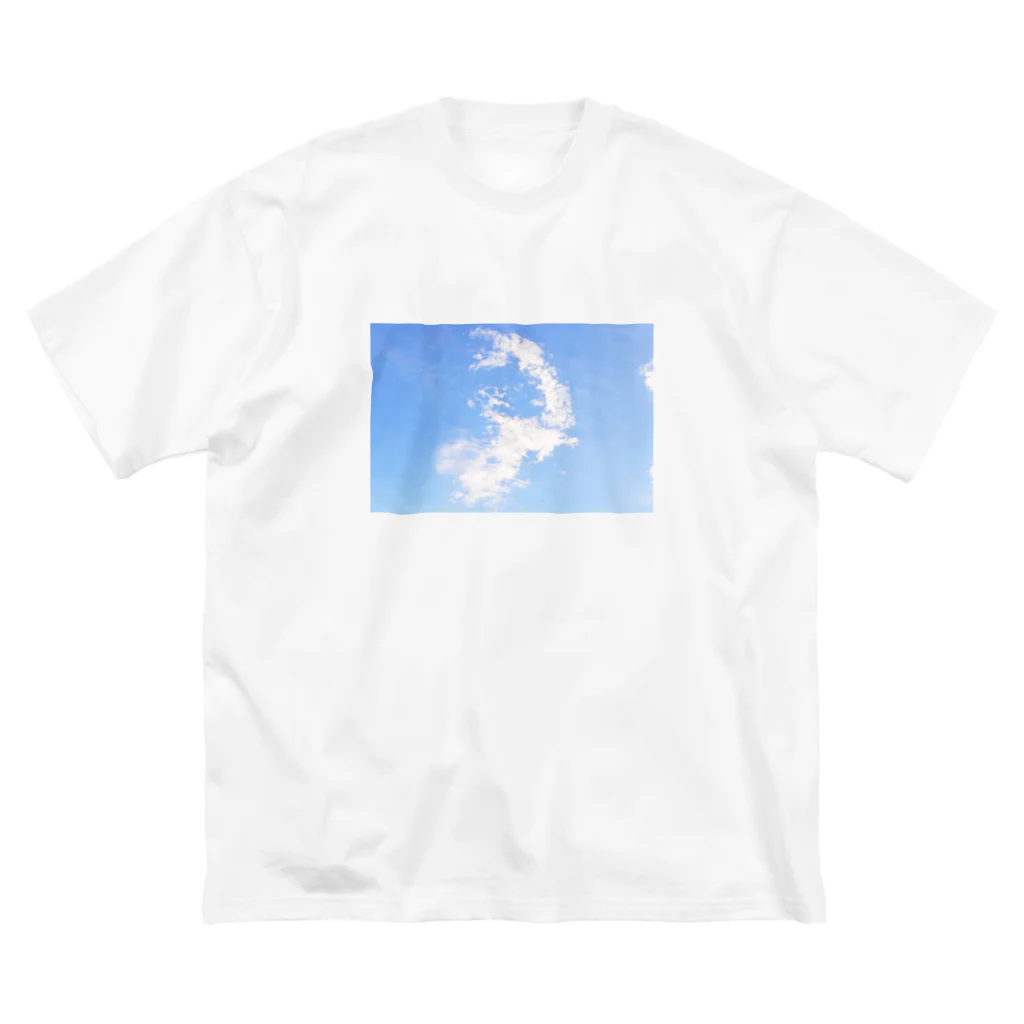 青 海 フィルム 日常の鳥のように ビッグシルエットTシャツ