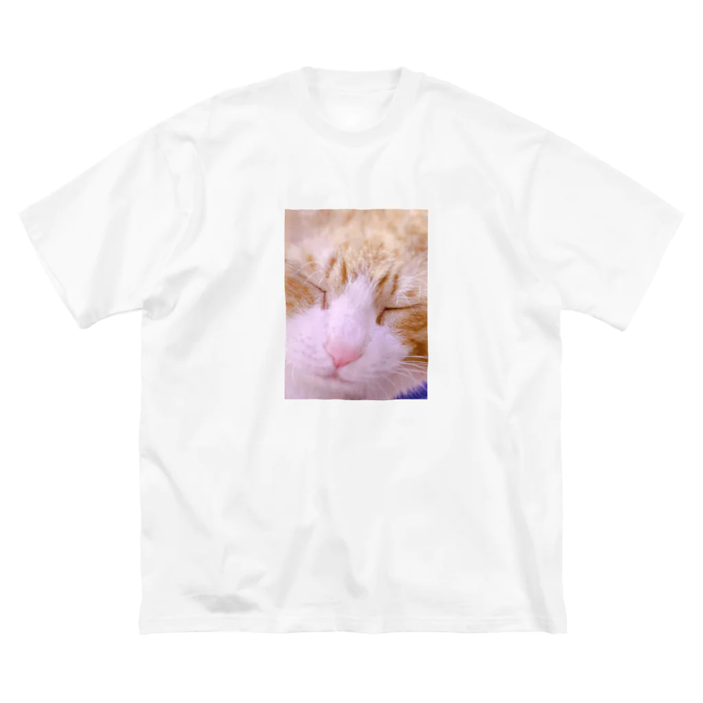 昭和～平成～令和系のりさぴん@の保護猫 セサミくん ビッグシルエットTシャツ