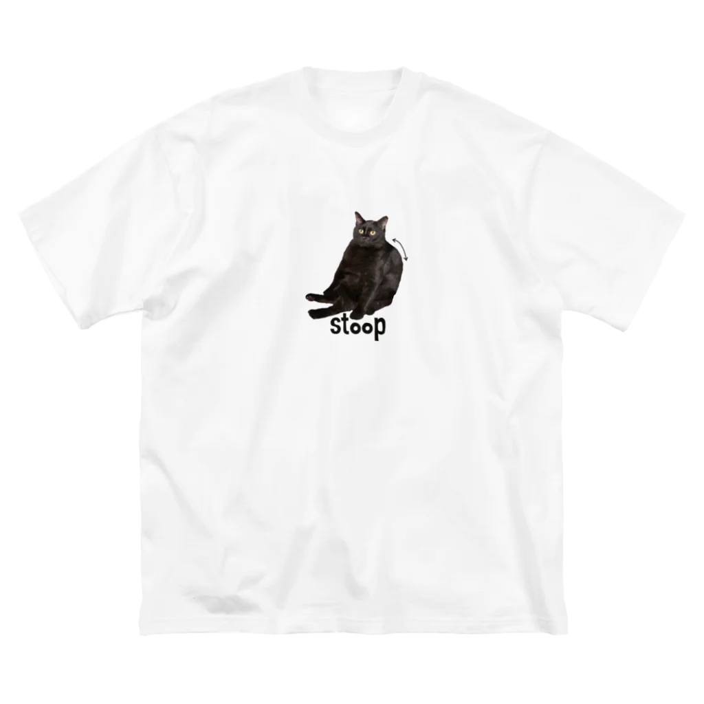 dishのうちの猫。 Big T-Shirt