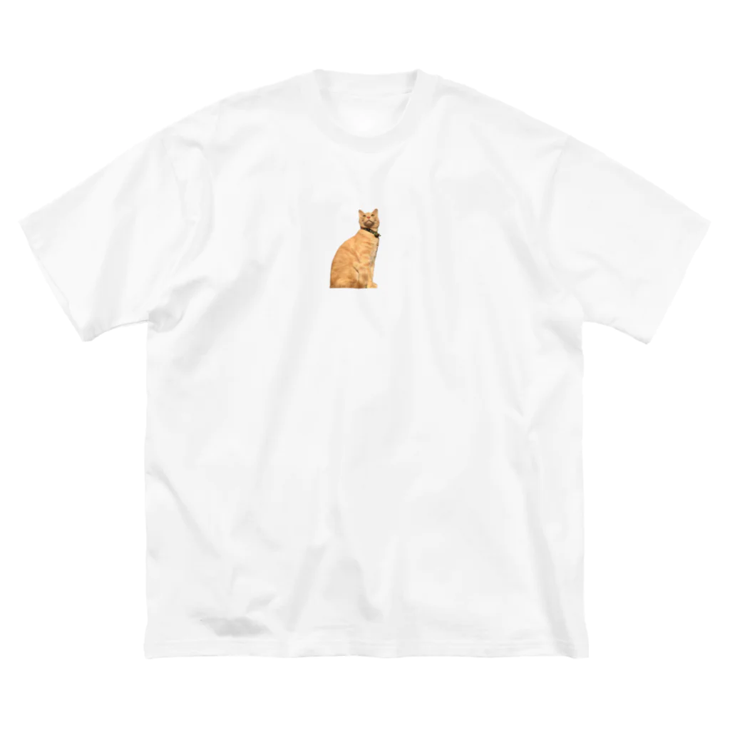 QQ_ooo_の神々しいネコ ビッグシルエットTシャツ