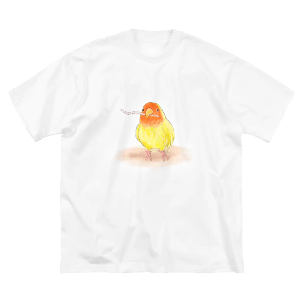 まめるりはことりのコザクラインコ　レイ【まめるりはことり】 Big T-Shirt