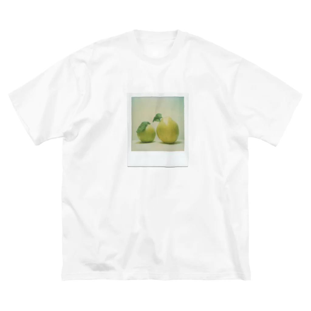 Petrichorのポラロイド　かりん ビッグシルエットTシャツ