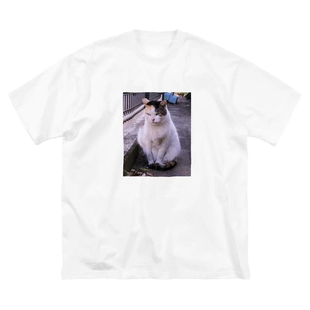 たろちの愛想のいいねこ ビッグシルエットTシャツ