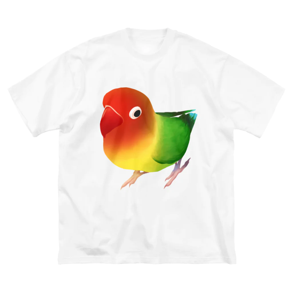 まめるりはことりのボタンインコ　おすましルリゴシボタンインコ【まめるりはことり】 ビッグシルエットTシャツ