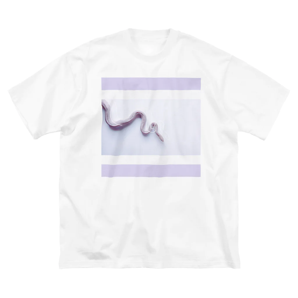 DecoLacertaのpastel snake ビッグシルエットTシャツ