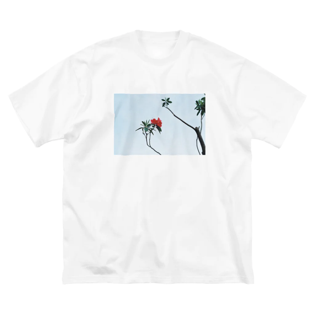 エモい写真館の空と花（ツツジ） Big T-Shirt