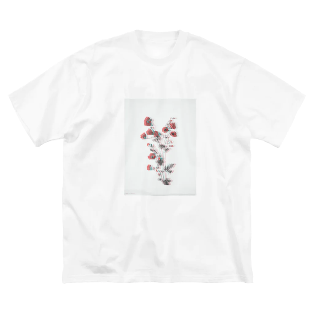 コリドラスのお花図鑑３ ビッグシルエットTシャツ