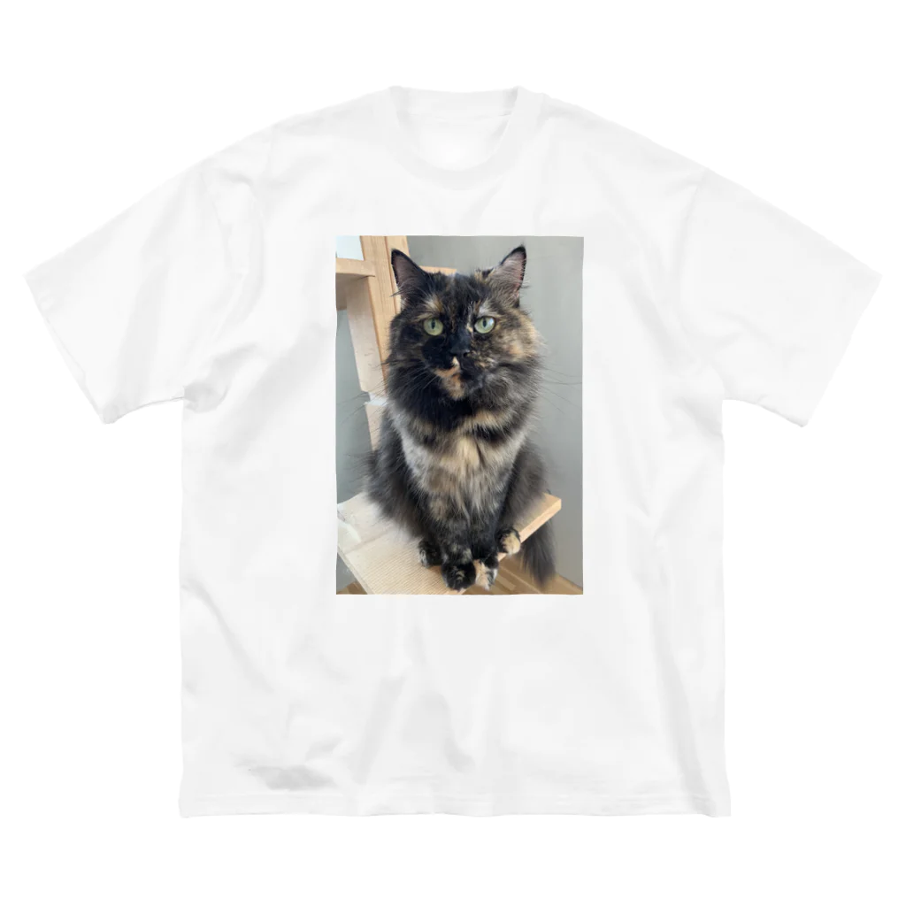 ネコまにあ 【12匹の猫➕うずら】のサビ猫すみれちゃん ビッグシルエットTシャツ