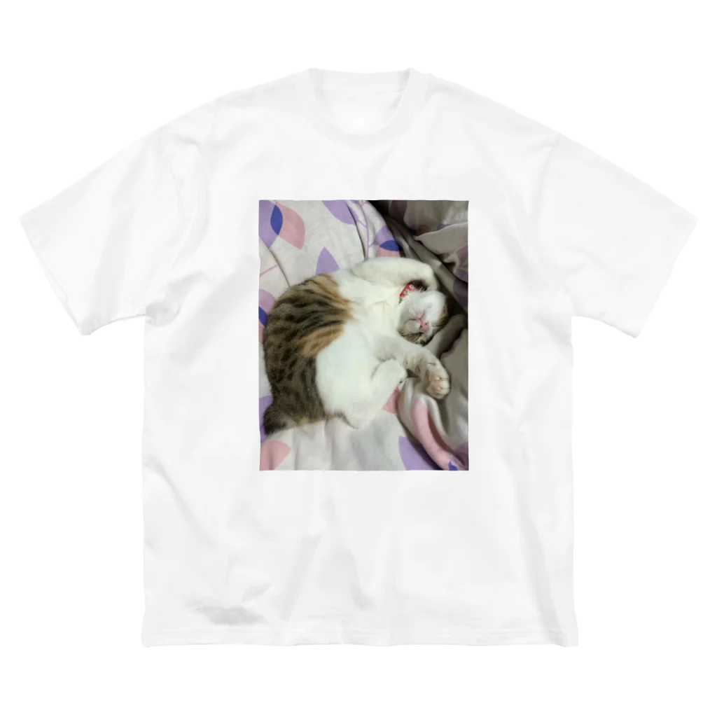 ほぼひめ。の三毛猫のひめ　2 ビッグシルエットTシャツ