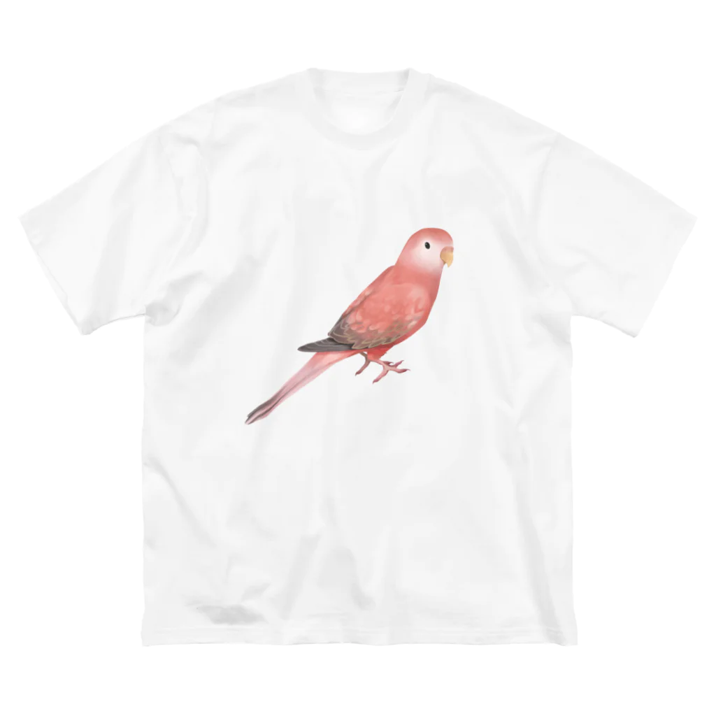 まめるりはことりのアキクサインコ　ピンク【まめるりはことり】 ビッグシルエットTシャツ