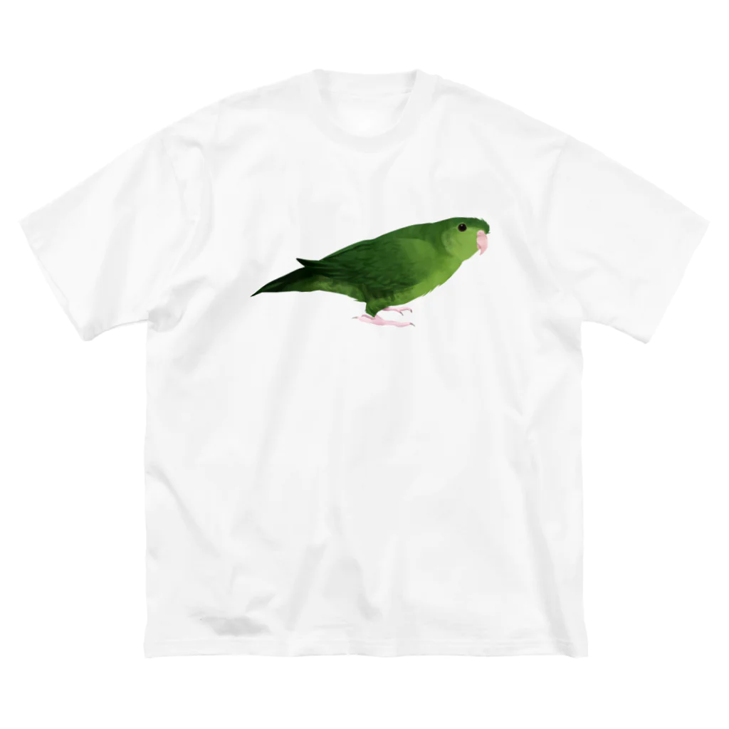 まめるりはことりのサザナミインコ　グリーン【まめるりはことり】 ビッグシルエットTシャツ