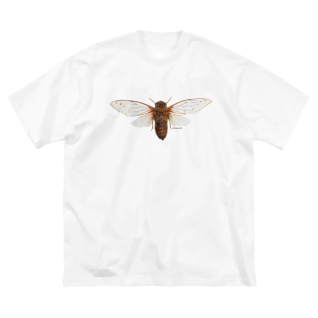 insectech.comのテイオウゼミ ビッグシルエットTシャツ