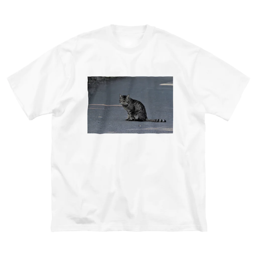 公園の渋みのある猫 ビッグシルエットTシャツ