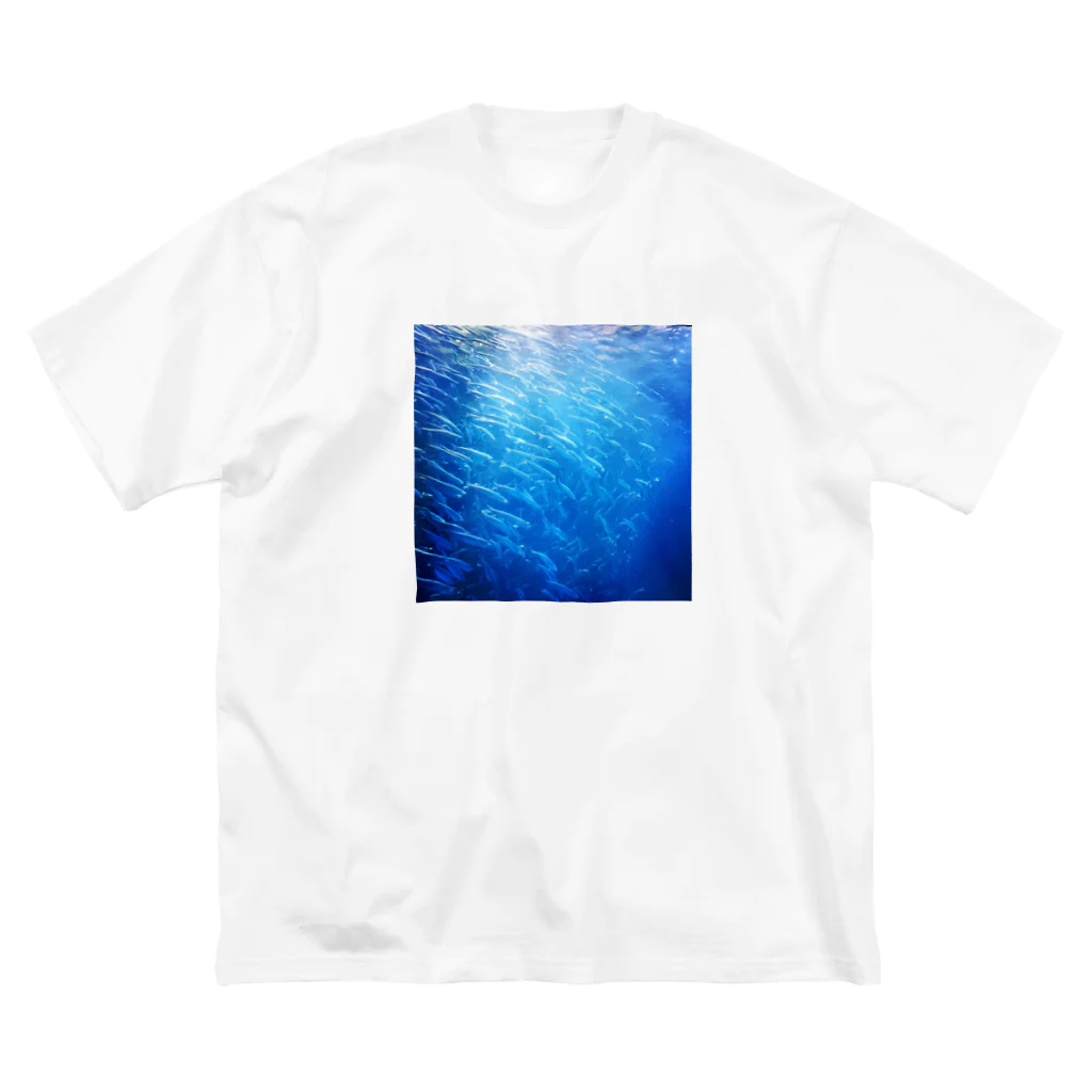 POP&Photoのsardine tornado photo Big T-Shirt