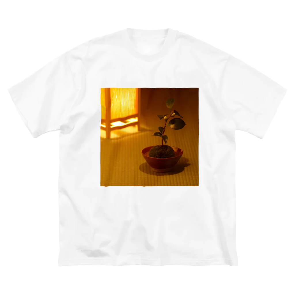 zou-apの苔玉 ビッグシルエットTシャツ