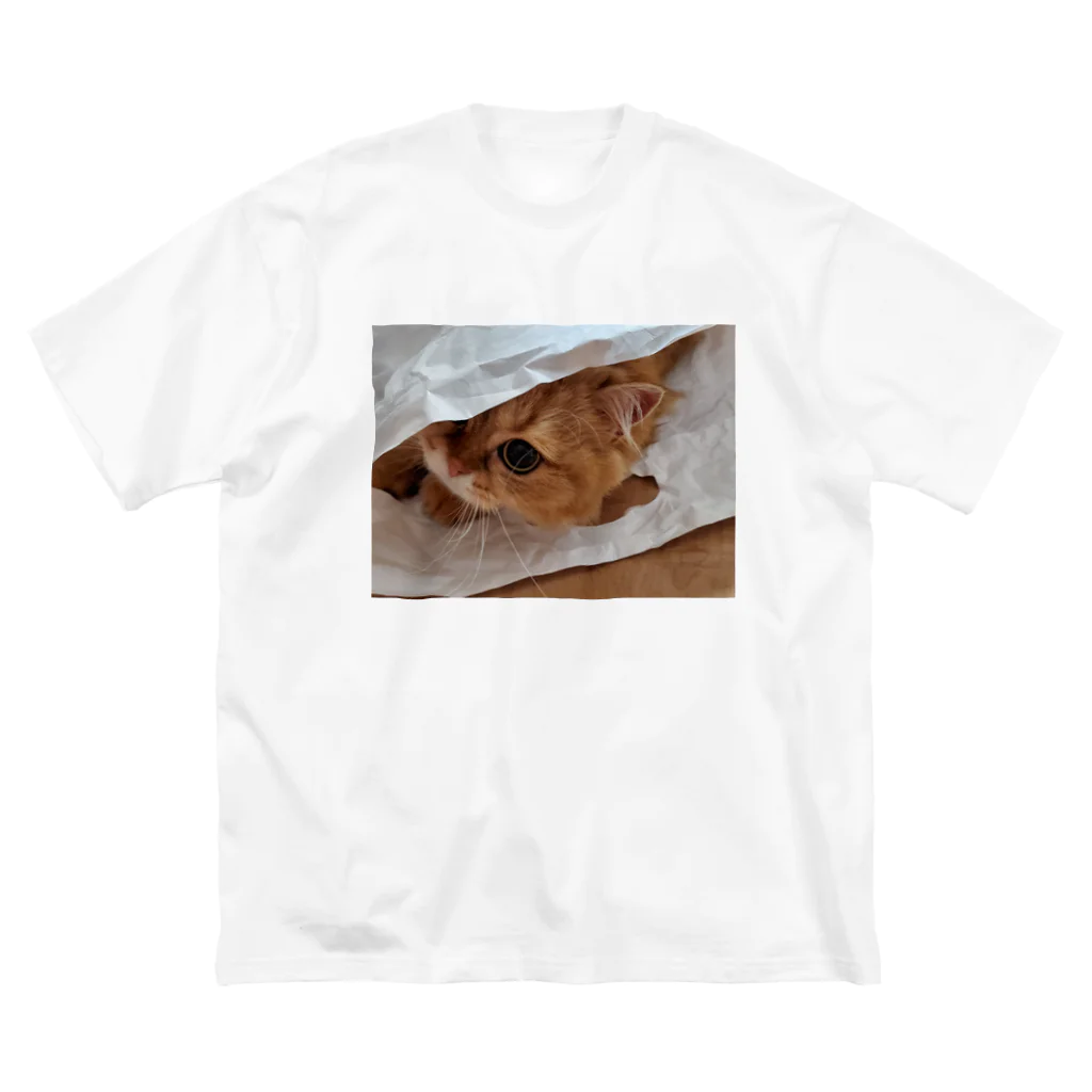 FUKUCHYAONEのかくれ猫 Big T-Shirt