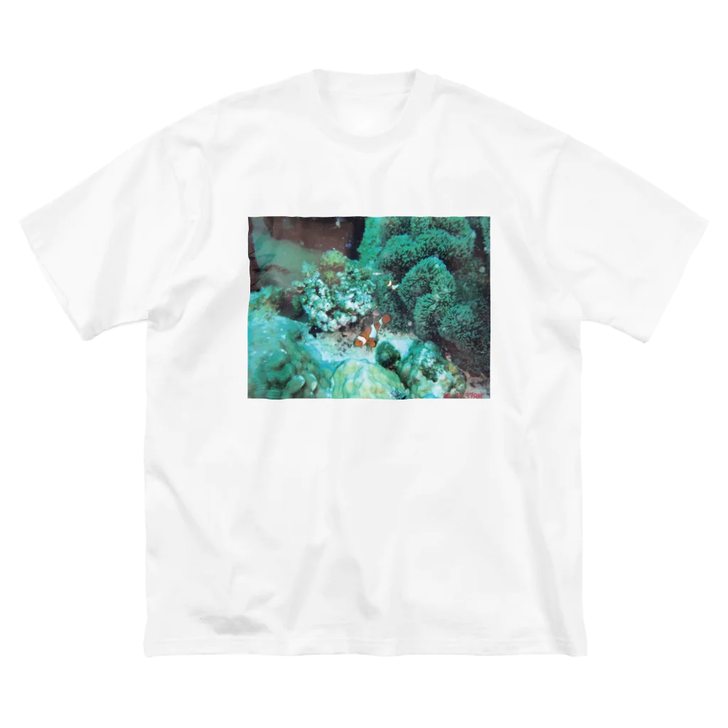時間泥棒の海　カクレクマノミ　ニモ Big T-Shirt