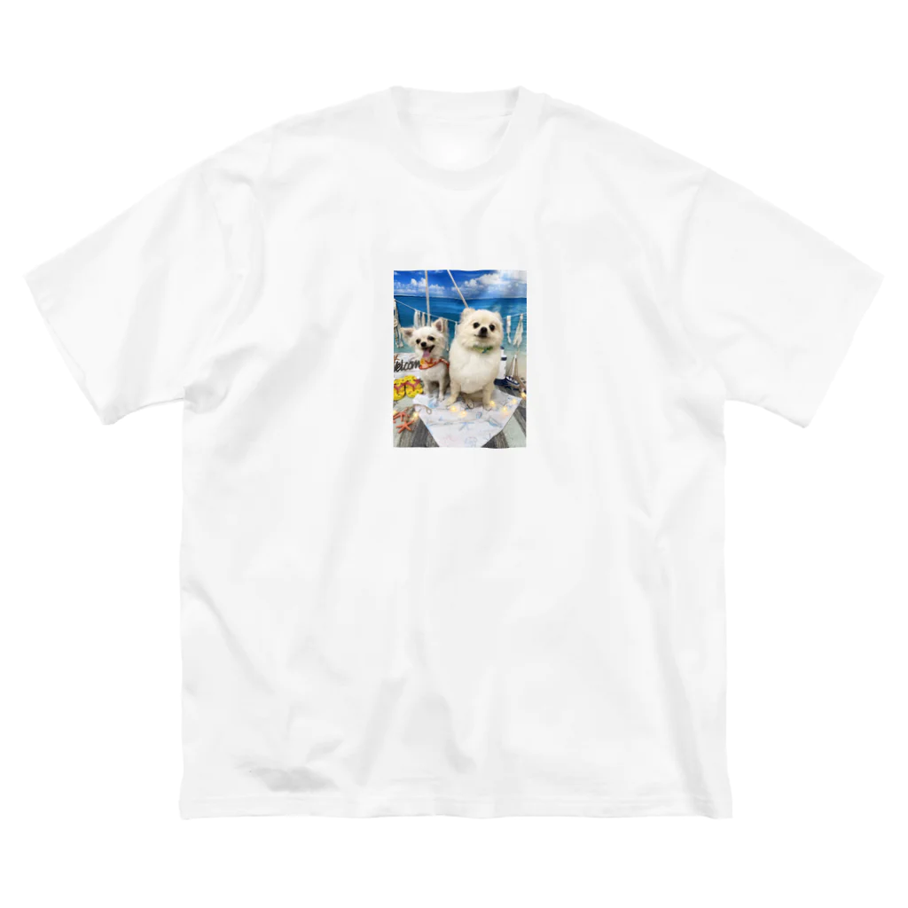 RayRayの夏のいっぬ達 ビッグシルエットTシャツ