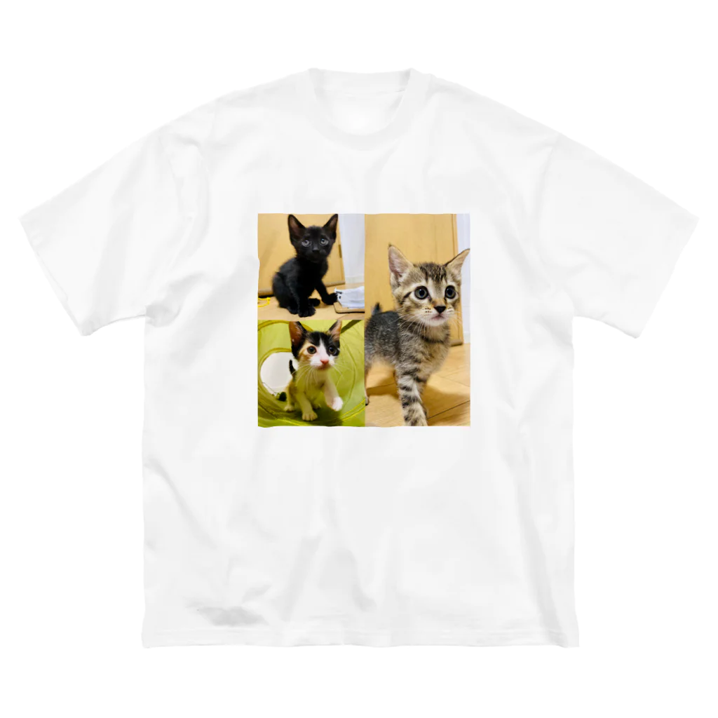 にゃんまるHOUSEの保護猫シスターズ3姉妹U/ちー/lee Big T-Shirt