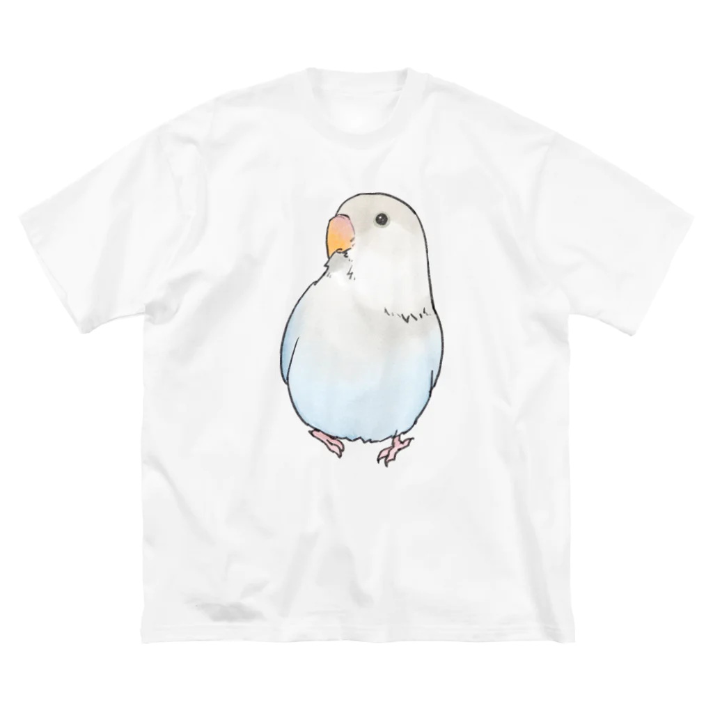 まめるりはことりのおすましコザクラインコ　らむねちゃん【まめるりはことり】 ビッグシルエットTシャツ