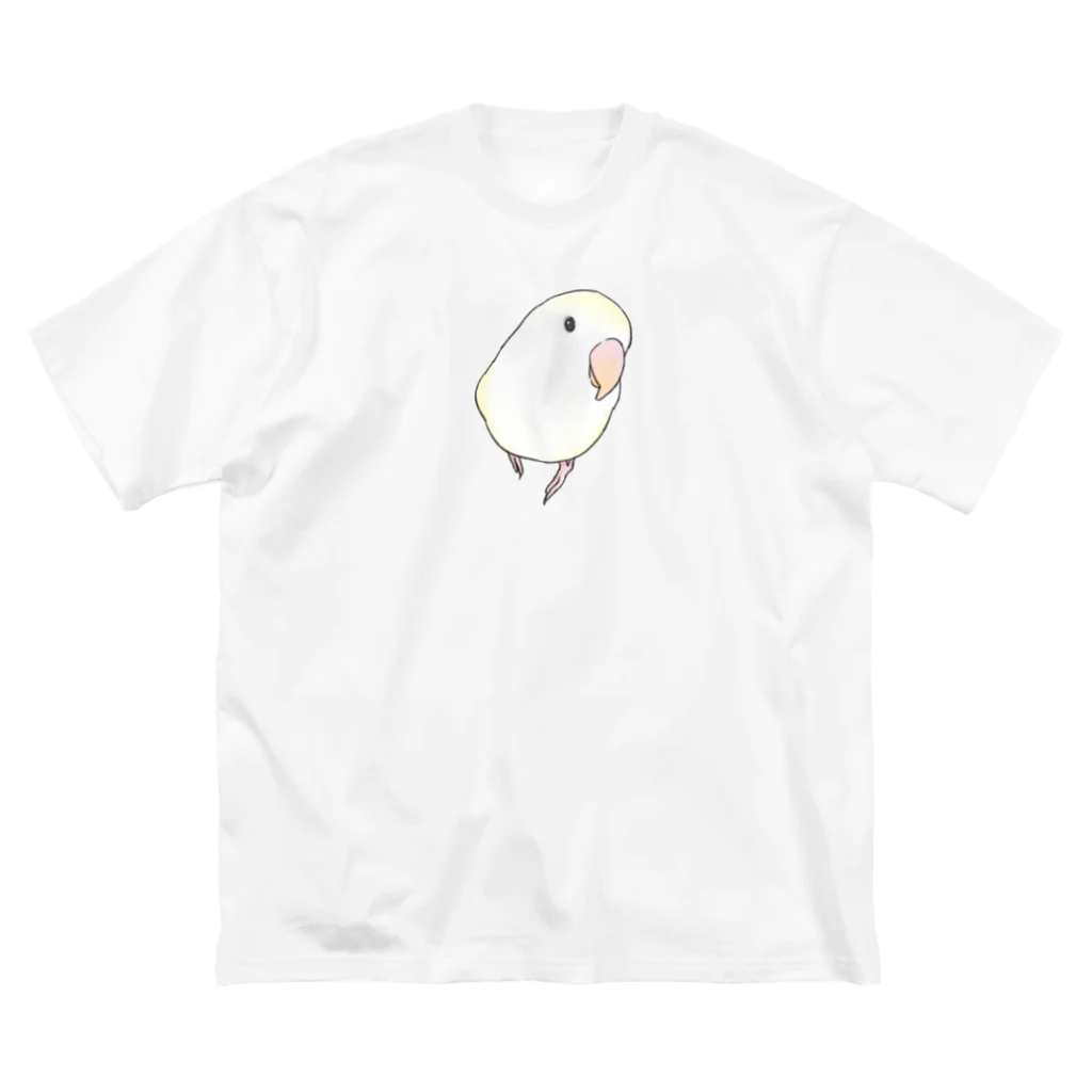 まめるりはことりのコザクラインコ　バイオレットパイドちゃん【まめるりはことり】 Big T-Shirt