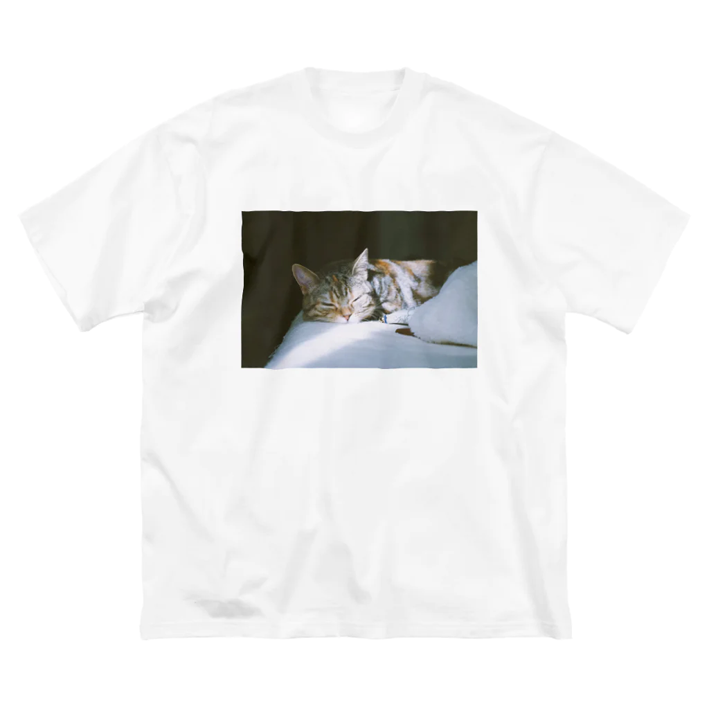 34のねむり　ひかり Big T-Shirt