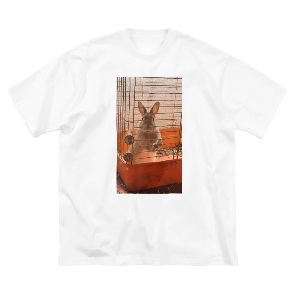 さおりん 森川組 80年ｱｲﾄﾞﾙ好きのウサギのピーターくん ビッグシルエットTシャツ