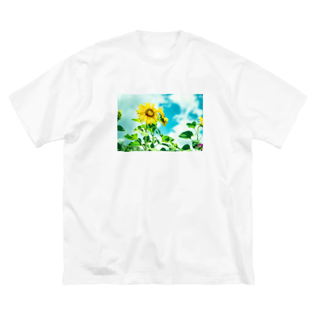 photographのhimawari ビッグシルエットTシャツ