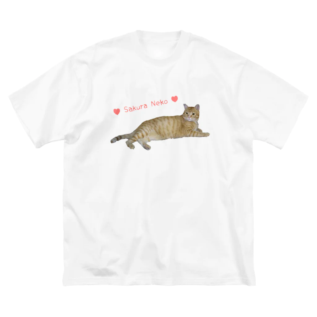 えみちーず（元野良と保護猫の為に🐾）のチャトラまったり🐾（さくら猫） ビッグシルエットTシャツ
