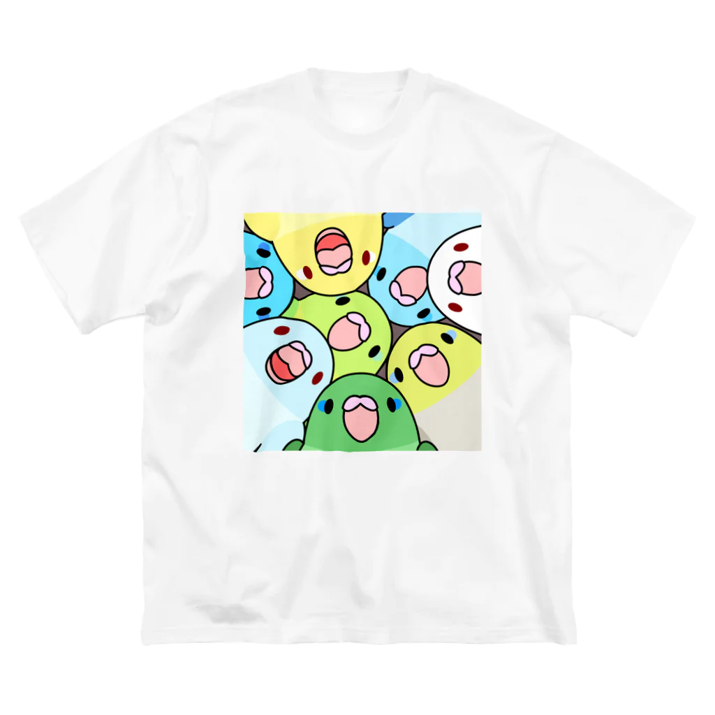 まめるりはことりのみっちりむっちり過密マメルリハさん【まめるりはことり】 Big T-Shirt