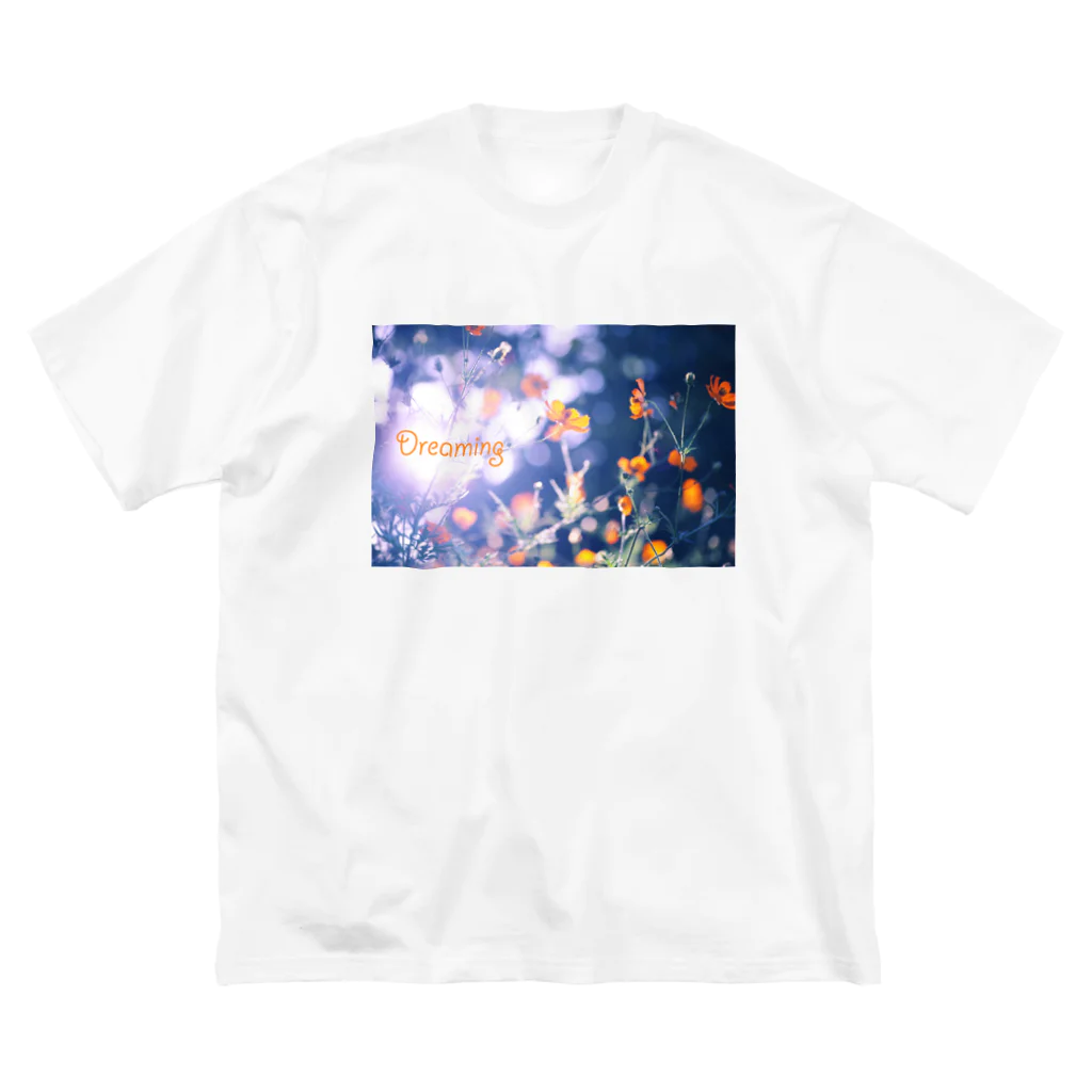 photo-kiokuのコスモス３ ビッグシルエットTシャツ