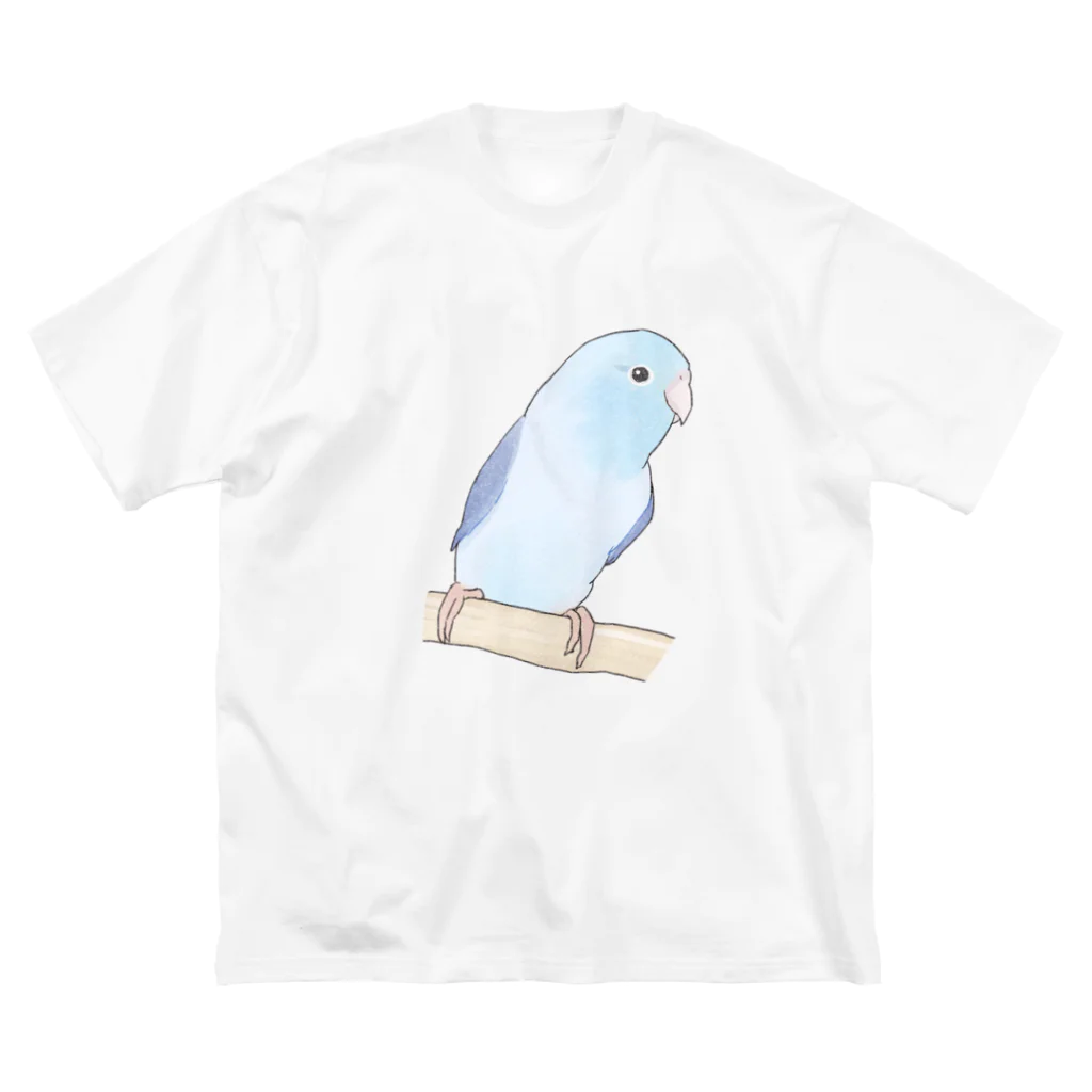 まめるりはことりのおしゃまなマメルリハのるりちゃん【まめるりはことり】 ビッグシルエットTシャツ