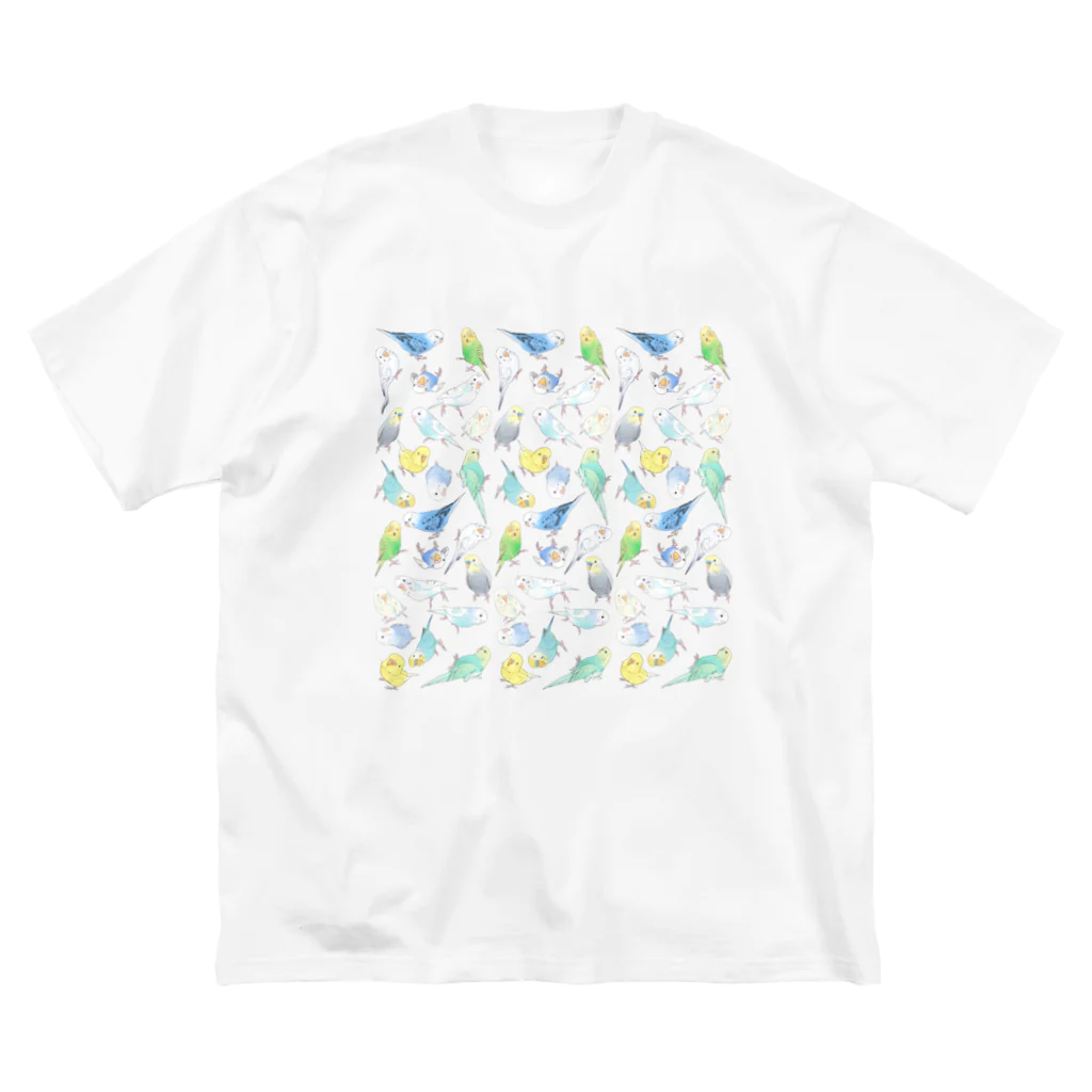 まめるりはことりのたくさんセキセイインコちゃん【まめるりはことり】 ビッグシルエットTシャツ