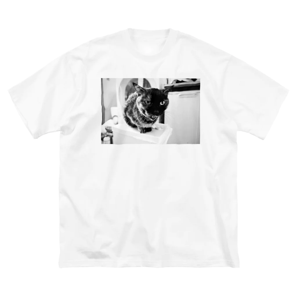 二毛猫のマミ ビッグシルエットTシャツ