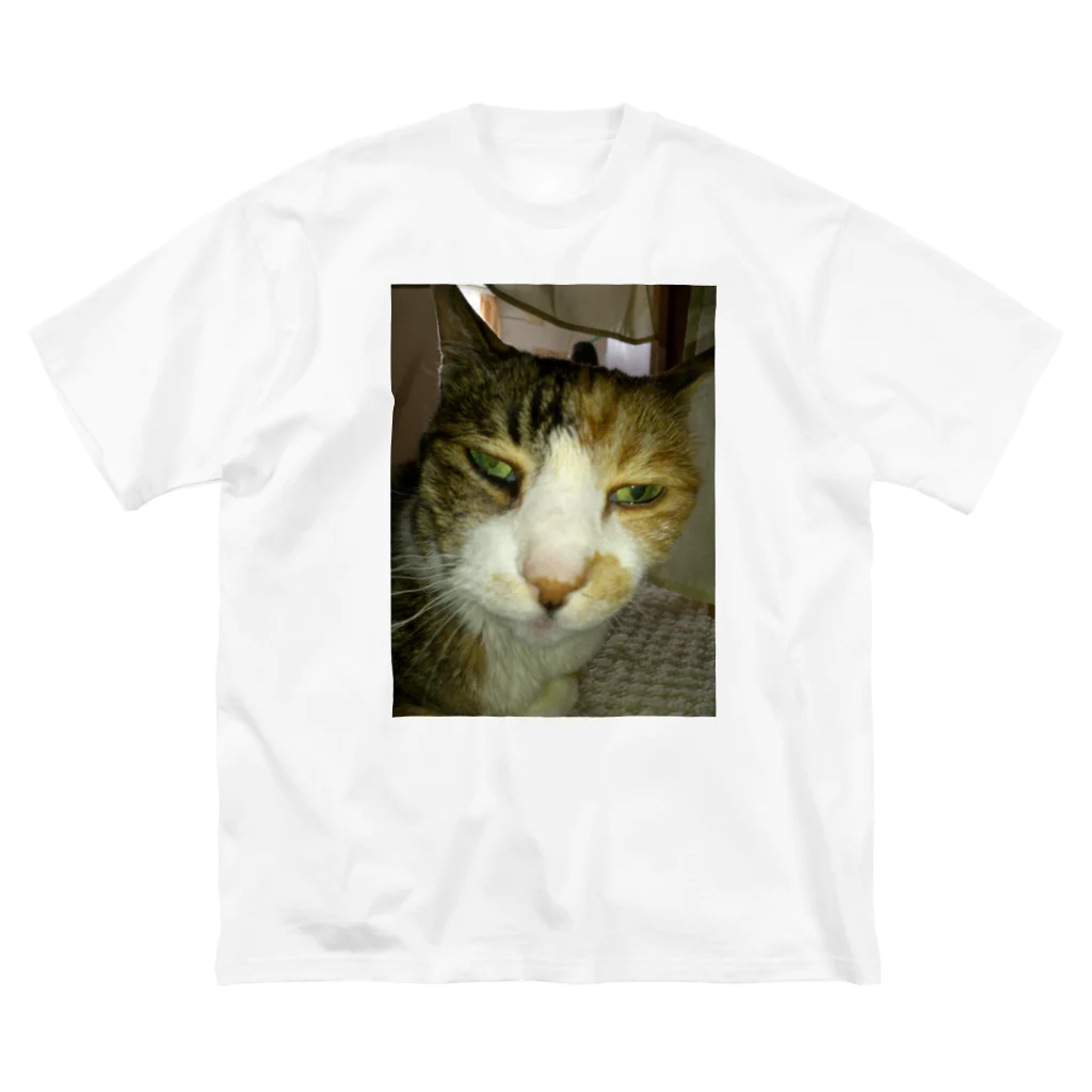 powpowの寝ぼけ猫 ビッグシルエットTシャツ