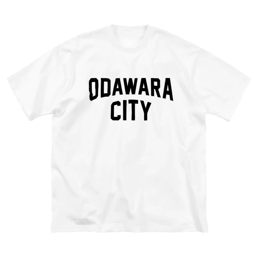 JIMOTO Wear Local Japanの小田原市 ODAWARA CITY ビッグシルエットTシャツ