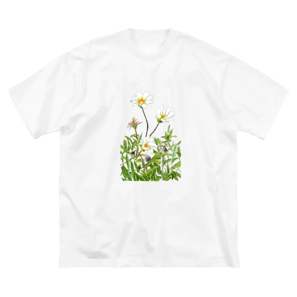 気ままに創作　よろず堂の花咲く小径①いろどり ビッグシルエットTシャツ