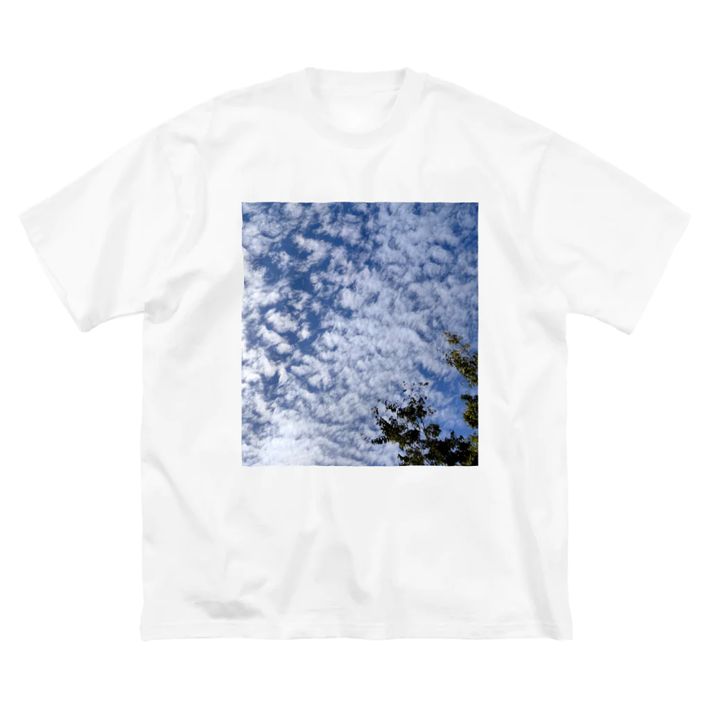 Lily bird（リリーバード）のいわし雲photo2 ビッグシルエットTシャツ