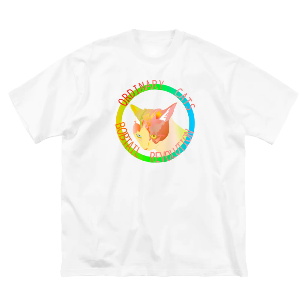 『NG （Niche・Gate）』ニッチゲート-- IN SUZURIのOrdinary Cats04h.t.(春) ビッグシルエットTシャツ